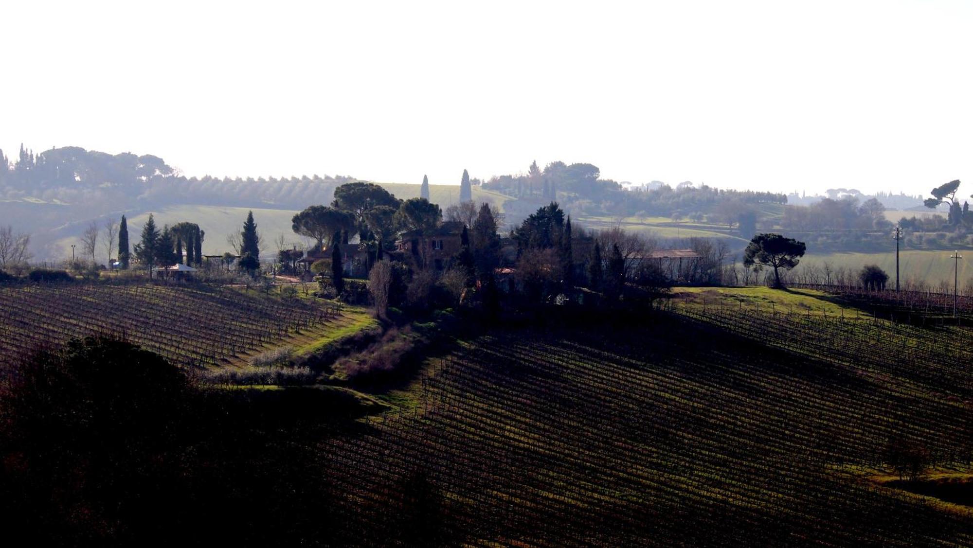 Agriturismo La Terra Valiano Eksteriør billede