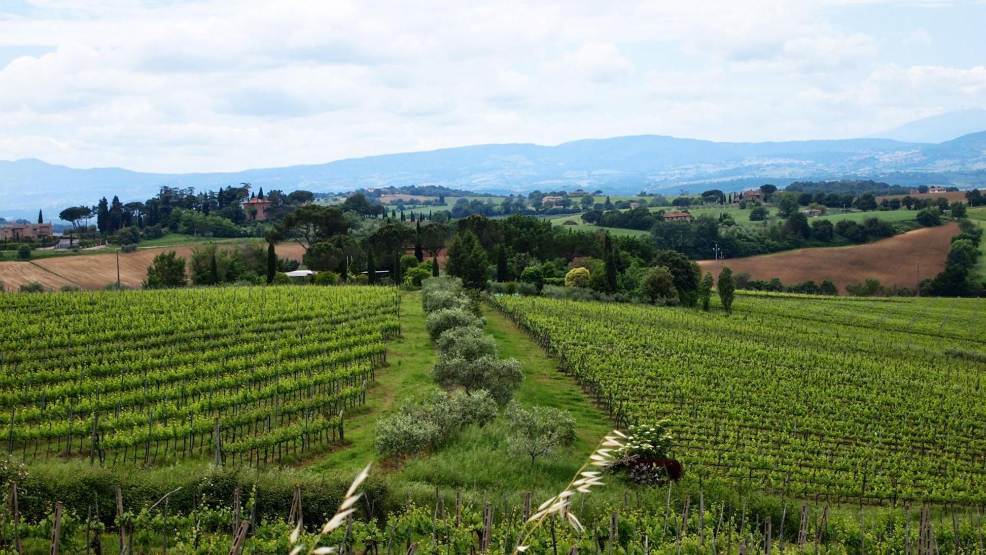 Agriturismo La Terra Valiano Eksteriør billede