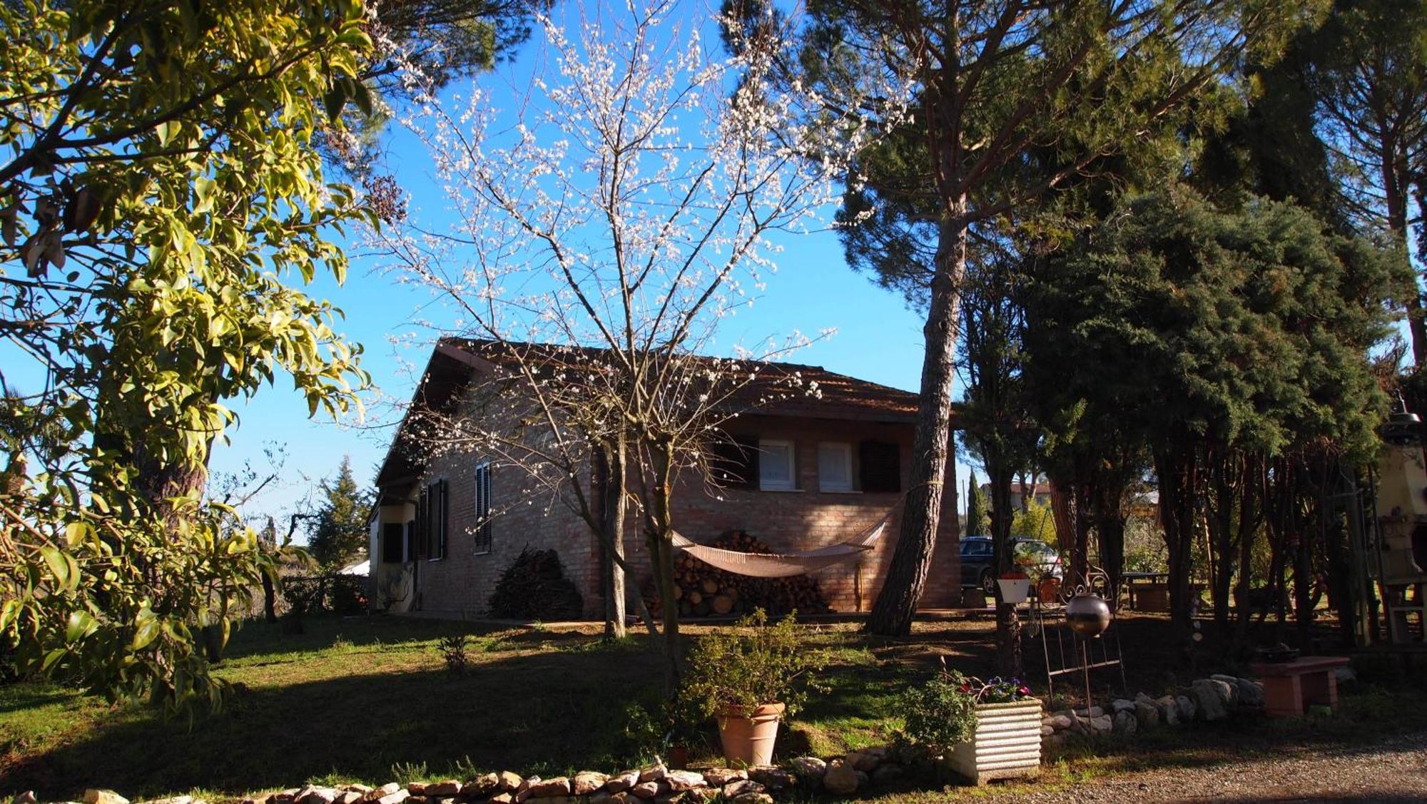 Agriturismo La Terra Valiano Eksteriør billede