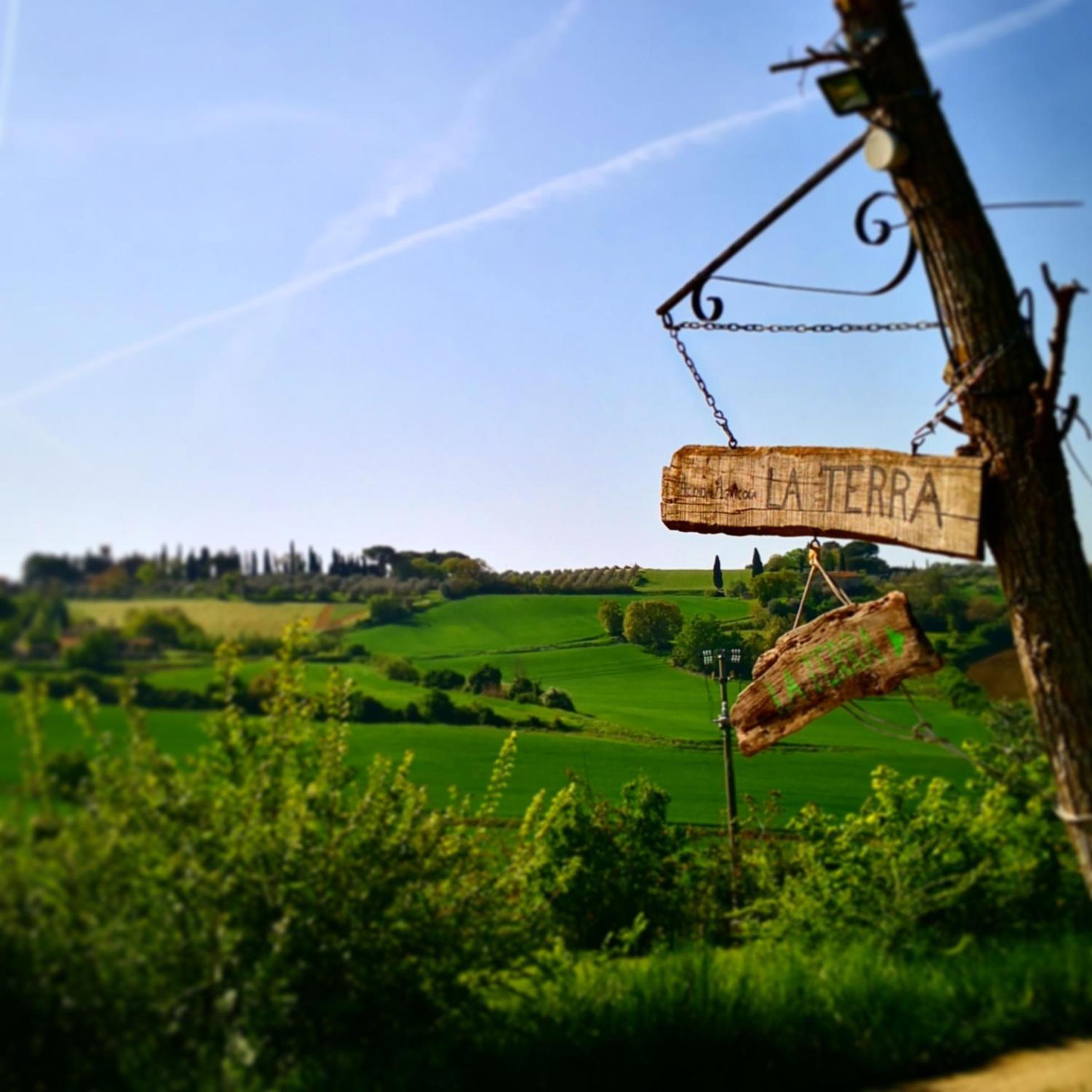 Agriturismo La Terra Valiano Eksteriør billede