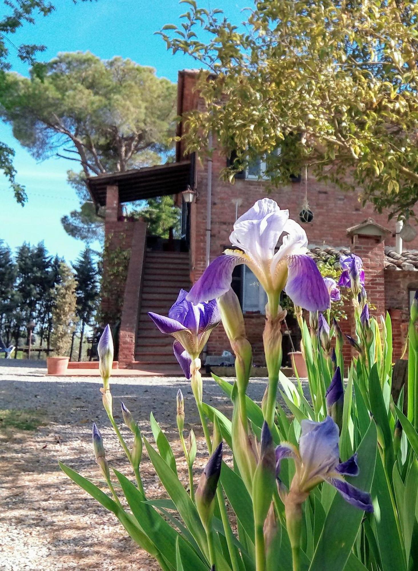 Agriturismo La Terra Valiano Eksteriør billede