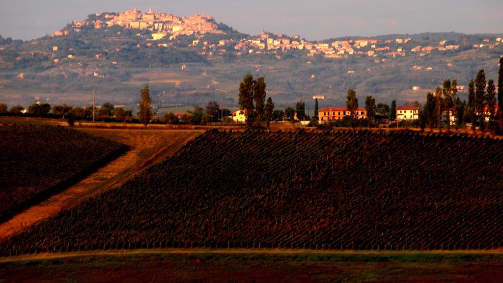 Agriturismo La Terra Valiano Eksteriør billede